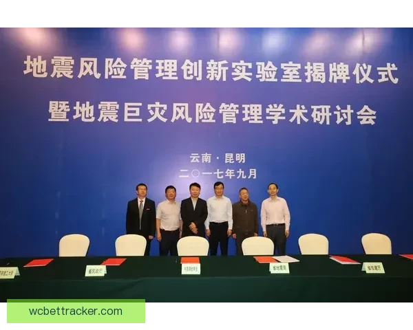 全面解析体育竞猜活动玩法策略与风险管理技巧